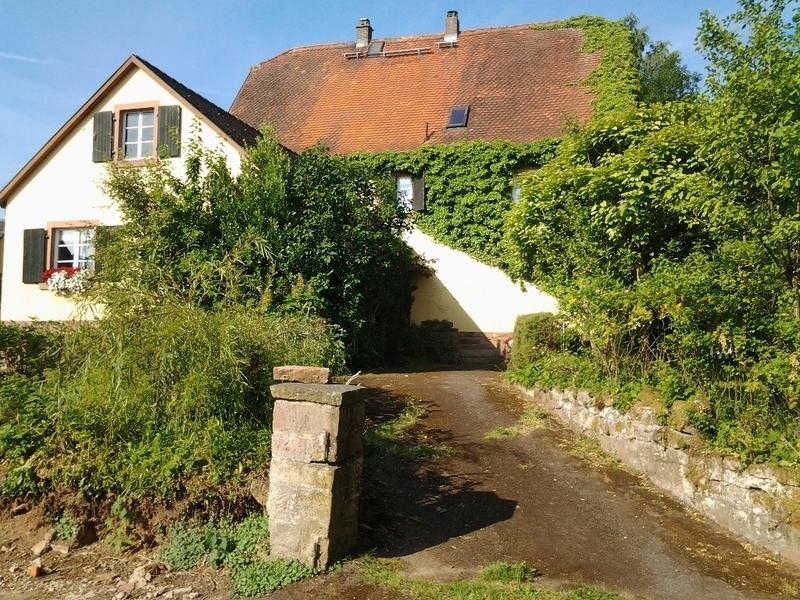 מלון מילטנברג Gastehaus Zum Alten Schulhaus חדר תמונה