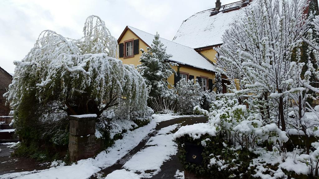 מלון מילטנברג Gastehaus Zum Alten Schulhaus מראה חיצוני תמונה